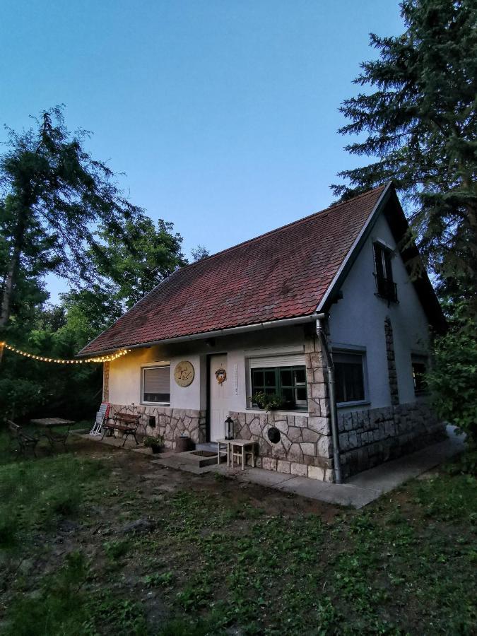 Irofeszek Vendeghaz Villa Zebegény Eksteriør billede
